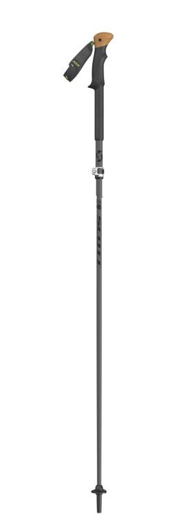 Палки горнолыжные Scott Cascade titanium (2022) 