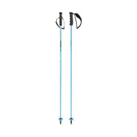 Палки горнолыжные Head Worldcup Carbon 12,3 mm Carbon speedblue/black/white