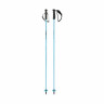 Палки горнолыжные Head Worldcup Carbon 12,3 mm Carbon speedblue/black/white - Палки горнолыжные Head Worldcup Carbon 12,3 mm Carbon speedblue/black/white