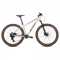 Велосипед Atom Bion Nine LTD Silk Titan рама: L (18.5") (2024)