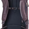 Рюкзак Женский Dakine Womens Heli Pro 24L Amethyst - Рюкзак Женский Dakine Womens Heli Pro 24L Amethyst