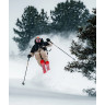 Горные лыжи Van Deer Freeride 98 black/sand без креплений (2025) - Горные лыжи Van Deer Freeride 98 black/sand без креплений (2025)