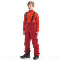 Штаны утепленные Dragonfly Gravity Teenager dark red