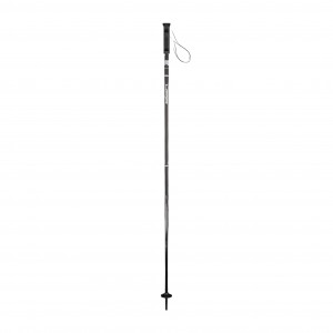 Палки горнолыжные Elan Hotrod black (CD651326) 