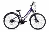 Велосипед Dewolf Asphalt 20 W 28"chameleon purple/white/grey Рама: 14" (2021)