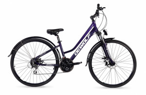 Велосипед Dewolf Asphalt 20 W 28&quot;chameleon purple/white/grey Рама: 14&quot; (2021) 