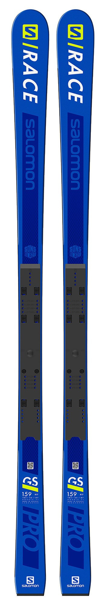Salomon hotsell gs skis