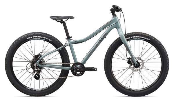 26 inch mountain bike giant shop