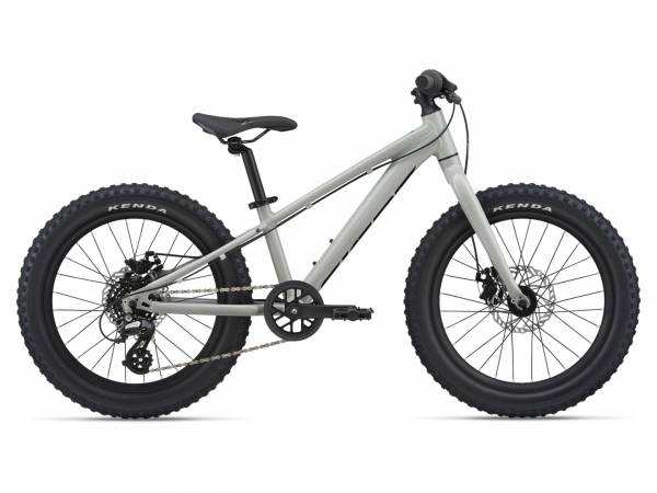 giant 20