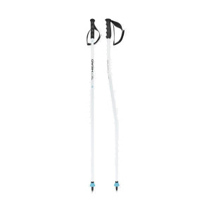 Палки горнолыжные Head Worldcup SG bent white/black/speed blue (381054) 