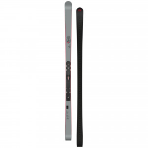 Горные лыжи Van Deer GS World Cup grey R30m w/interface 10mm без креплений (2026) 