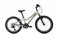 Велосипед Forward TWISTER 20 1.0 серый\оранжевый (2021)