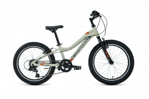 Велосипед Forward Twister 20 1.0 серый/оранжевый (2021) 
