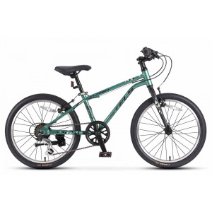 Велосипед Stels Turbo 270 20" V (м) зеленый рама: 11" (2026) 