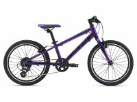 Велосипед Giant ARX 20 Purple (2021)