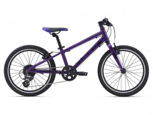 Велосипед Giant ARX 20 Purple (2021) 