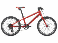 Велосипед Giant ARX 20 Pure Red (2021)