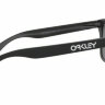 Очки Oakley Frogskins черный (2021) - Очки Oakley Frogskins черный (2021)