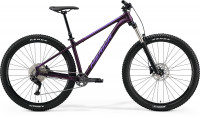 Велосипед Merida Big.Trail 400 29" silkdarkpurple/silver-purple (2021)