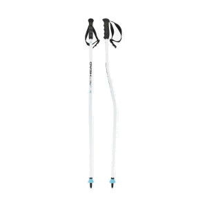 Палки горнолыжные Head Worldcup SG JR bent white/black/speed blue (381064) 