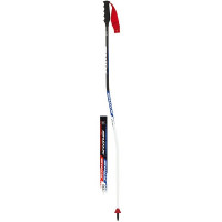 Палки горнолыжные Swix SGC IPM Carbon Composite