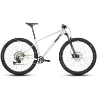 Велосипед Superior XP 6.2 29" Gloss Grey рама: L (2026)
