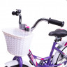 Велосипед Stels Flyte C 18" Z012 сиреневый рама: 12" (2024) - Велосипед Stels Flyte C 18" Z012 сиреневый рама: 12" (2024)