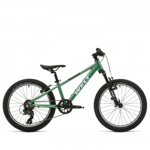 Велосипед Welt Brave 1.0 VB 20" calm green (2026) 
