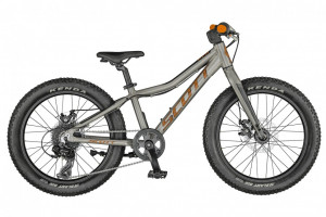 Велосипед Scott Roxter 20 raw alloy (2022) 