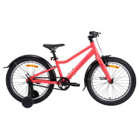 Велосипед Alpinebike Pegas 1-20 20" розовый рама: OS (2026) Велосипед Alpinebike Pegas 1-20 20" розовый рама: OS (2026)