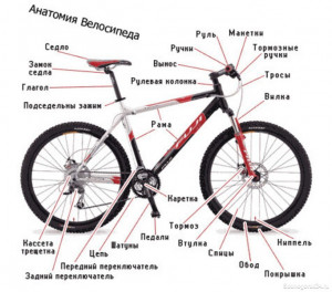 Втулка скольжения. Снять/установить [B111] Диагностика, смазка цепи, регулировка переключения передач и работы тормозов, переборка (рулевой, втулок), исправление биения (запчасти оплачиваются отдельно).