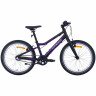 Велосипед Alpinebike Pegas 3-20 20" фиолетовый космос рама: OS (2026) - Велосипед Alpinebike Pegas 3-20 20" фиолетовый космос рама: OS (2026)
