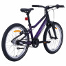 Велосипед Alpinebike Pegas 3-20 20" фиолетовый космос рама: OS (2026) - Велосипед Alpinebike Pegas 3-20 20" фиолетовый космос рама: OS (2026)