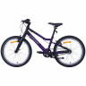 Велосипед Alpinebike Pegas 3-20 20" фиолетовый космос рама: OS (2026) - Велосипед Alpinebike Pegas 3-20 20" фиолетовый космос рама: OS (2026)