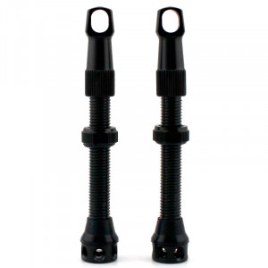 Комплект бескамерных ниппелей Energy Presta RVC 48 мм (2 шт) 