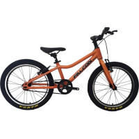 Велосипед Falcon Bike Fly 1.0 20" красный (2025)