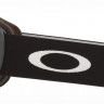 Горнолыжная маска Oakley Flight Path XL matte black / Prizm Snow Torch Iridium - Горнолыжная маска Oakley Flight Path XL matte black / Prizm Snow Torch Iridium