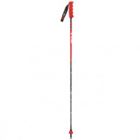 Палки горнолыжные Vola Alpine GS Carbon SR
