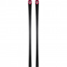 Горные лыжи Rossignol Hero Athlete FIS GS Factory R22 193 без креплений (2024) - Горные лыжи Rossignol Hero Athlete FIS GS Factory R22 193 без креплений (2024)