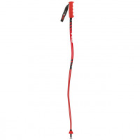Палки горнолыжные Vola Alpine GS Alum SR