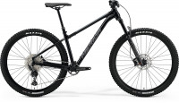 Велосипед Merida Big.Trail 600 29" GlossyBlack/MattCoolGrey рама: L (17") (2022)