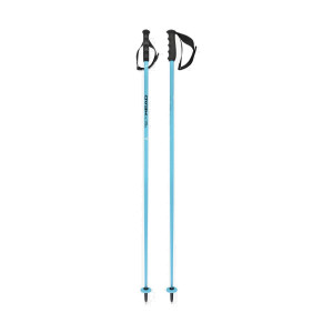 Палки горнолыжные Head Worldcup SL speed blue/black/white (381174) 