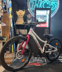 Велосипед Novatrack Novara 6.D 24" белый рама: 10" (диск.тормоза)