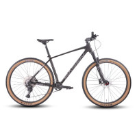 Велосипед Hagen 7.11 29" анодированный полумат рама: S (15.5") (2025)