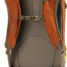 Рюкзак Dakine Heli Pack 12L Ginger - Рюкзак Dakine Heli Pack 12L Ginger