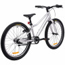 Велосипед Alpinebike Pegas 3-24 24" серый рама: OS (2026) - Велосипед Alpinebike Pegas 3-24 24" серый рама: OS (2026)