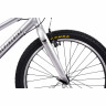 Велосипед Alpinebike Pegas 3-24 24" серый рама: OS (2026) - Велосипед Alpinebike Pegas 3-24 24" серый рама: OS (2026)