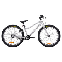 Велосипед Alpinebike Pegas 3-24 24" серый рама: OS (2026) Велосипед Alpinebike Pegas 3-24 24" серый рама: OS (2026)
