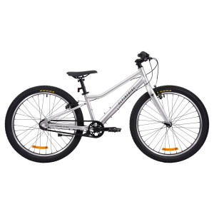 Велосипед Alpinebike Pegas 3-24 24" серый рама: OS (2026) 
