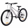 Велосипед Alpinebike Pegas 3-24 24" серый рама: OS (2026) - Велосипед Alpinebike Pegas 3-24 24" серый рама: OS (2026)